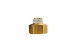 1/8" NPT Male to 1/4" NPT Female Reducer